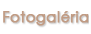 fotogaleria